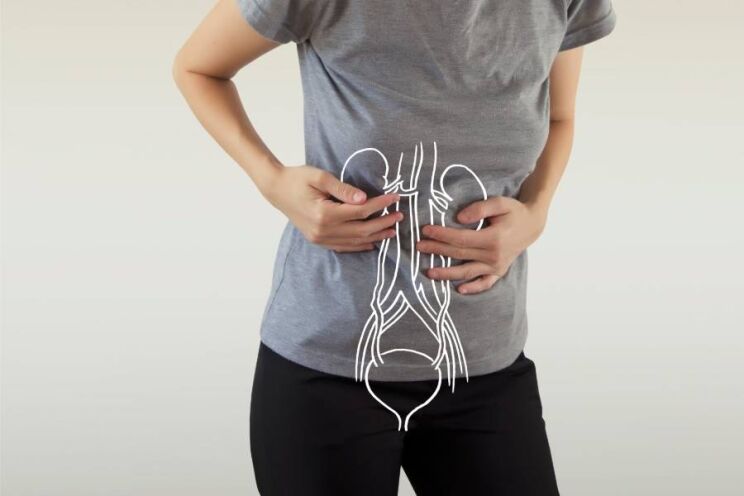 How the Body Gets Rid of Toxins 1 Line Drawing of Kidneys on Human Body