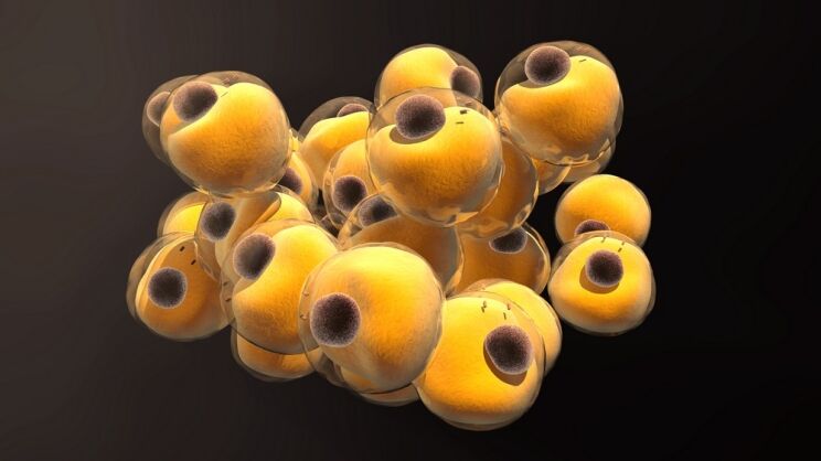 The Secrets to Ageless Beauty: A Guide to Anti-Ageing 1 Bunch Yellow Balls Black Spots
